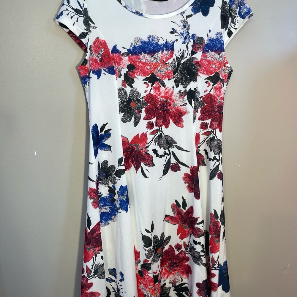 Lily by Firmiana Floral Dress in Red, Blue, and Black